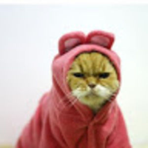 Meet your Posher, Sofia